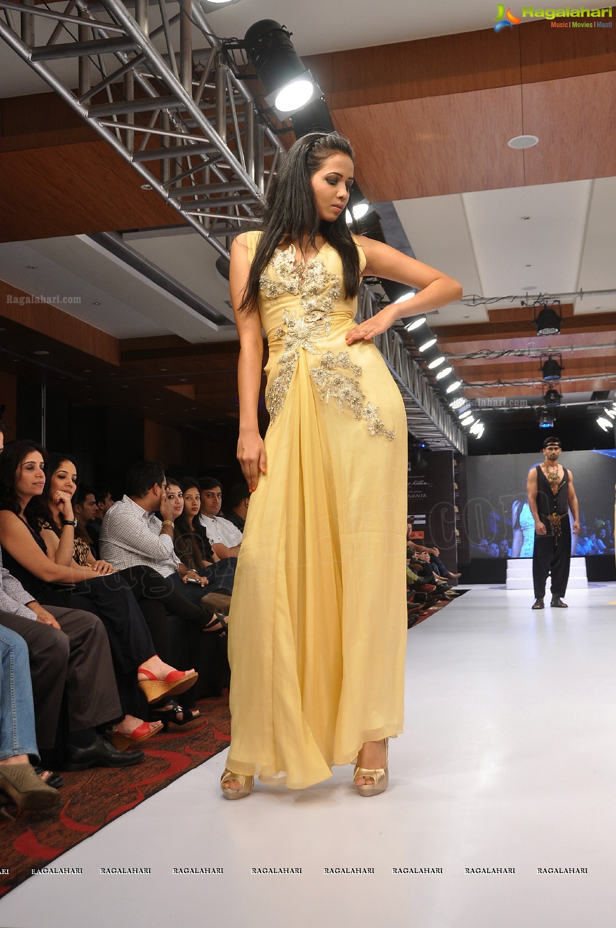 Blenders Pride Hyderabad International Fashion Week (Day 2)