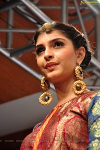 Blenders Pride Hyderabad International Fashion Week 2012