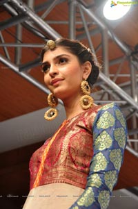 Blenders Pride Hyderabad International Fashion Week 2012