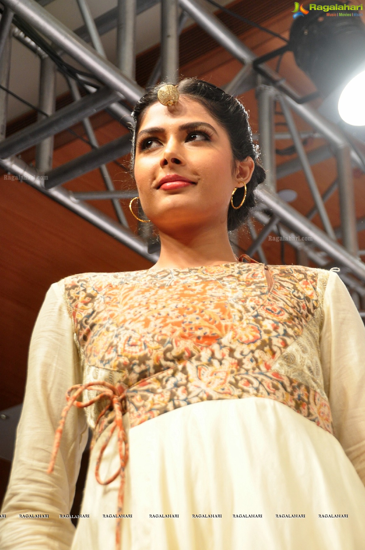 Blenders Pride Hyderabad International Fashion Week (Day 1)