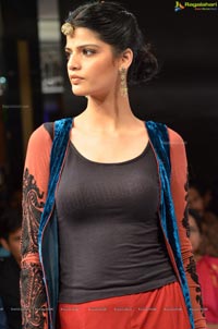 Blenders Pride Hyderabad International Fashion Week 2012