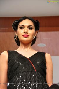 Blenders Pride Hyderabad International Fashion Week 2012