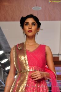 Blenders Pride Hyderabad International Fashion Week 2012