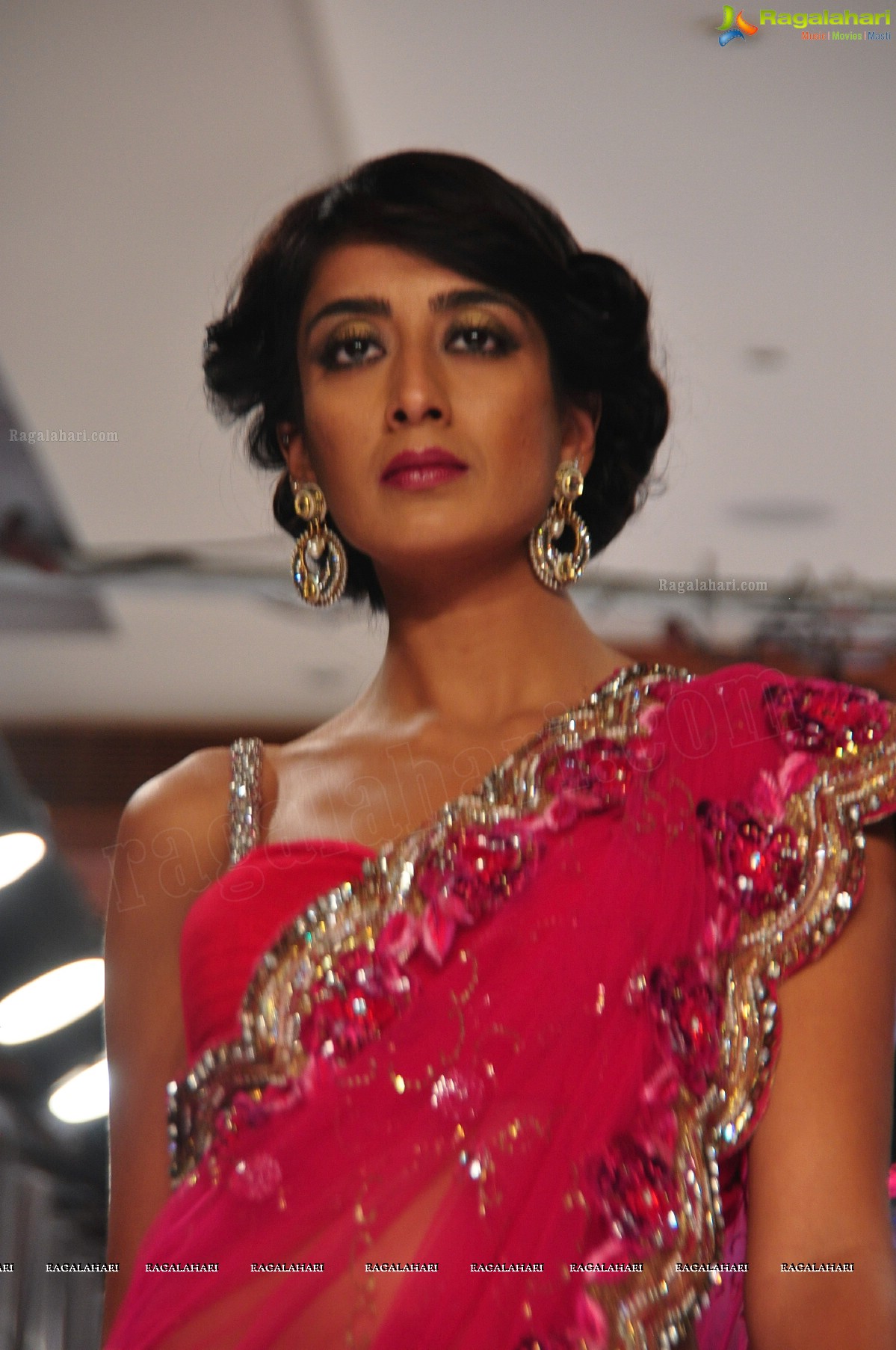 Blenders Pride Hyderabad International Fashion Week (Day 1)