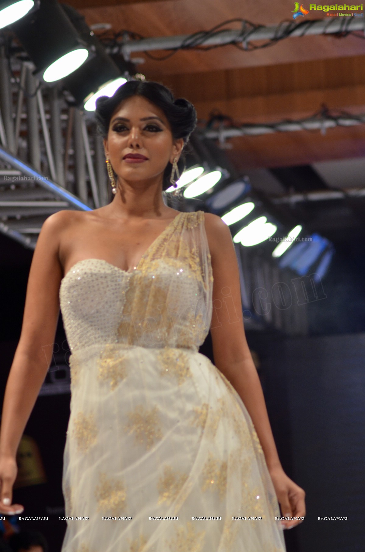 Blenders Pride Hyderabad International Fashion Week (Day 1)