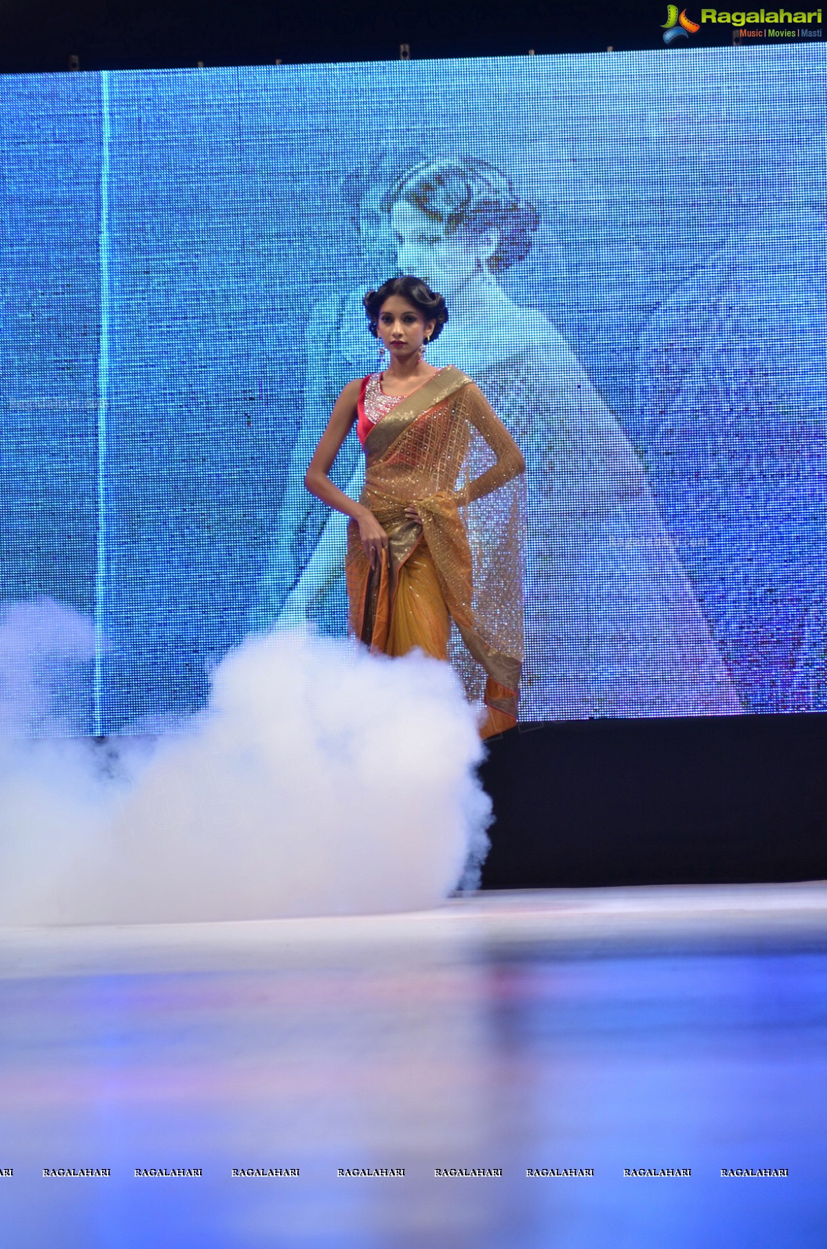 Blenders Pride Hyderabad International Fashion Week (Day 1)