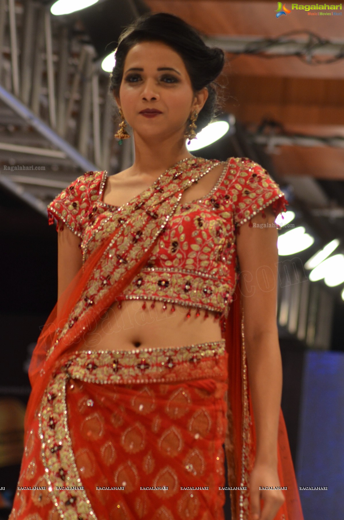 Blenders Pride Hyderabad International Fashion Week (Day 1)