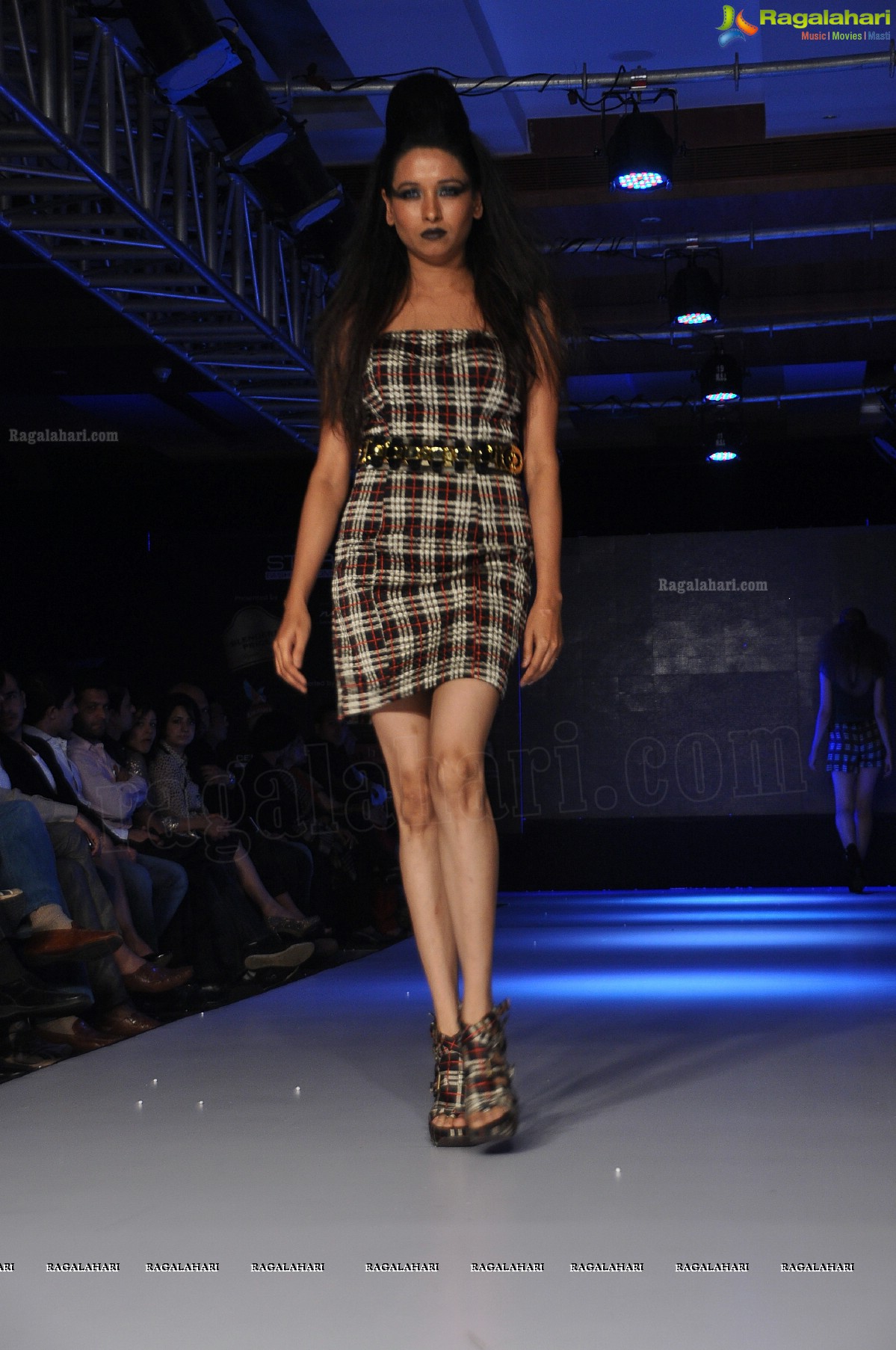 Blenders Pride Hyderabad International Fashion Week 2012 (Day 4)