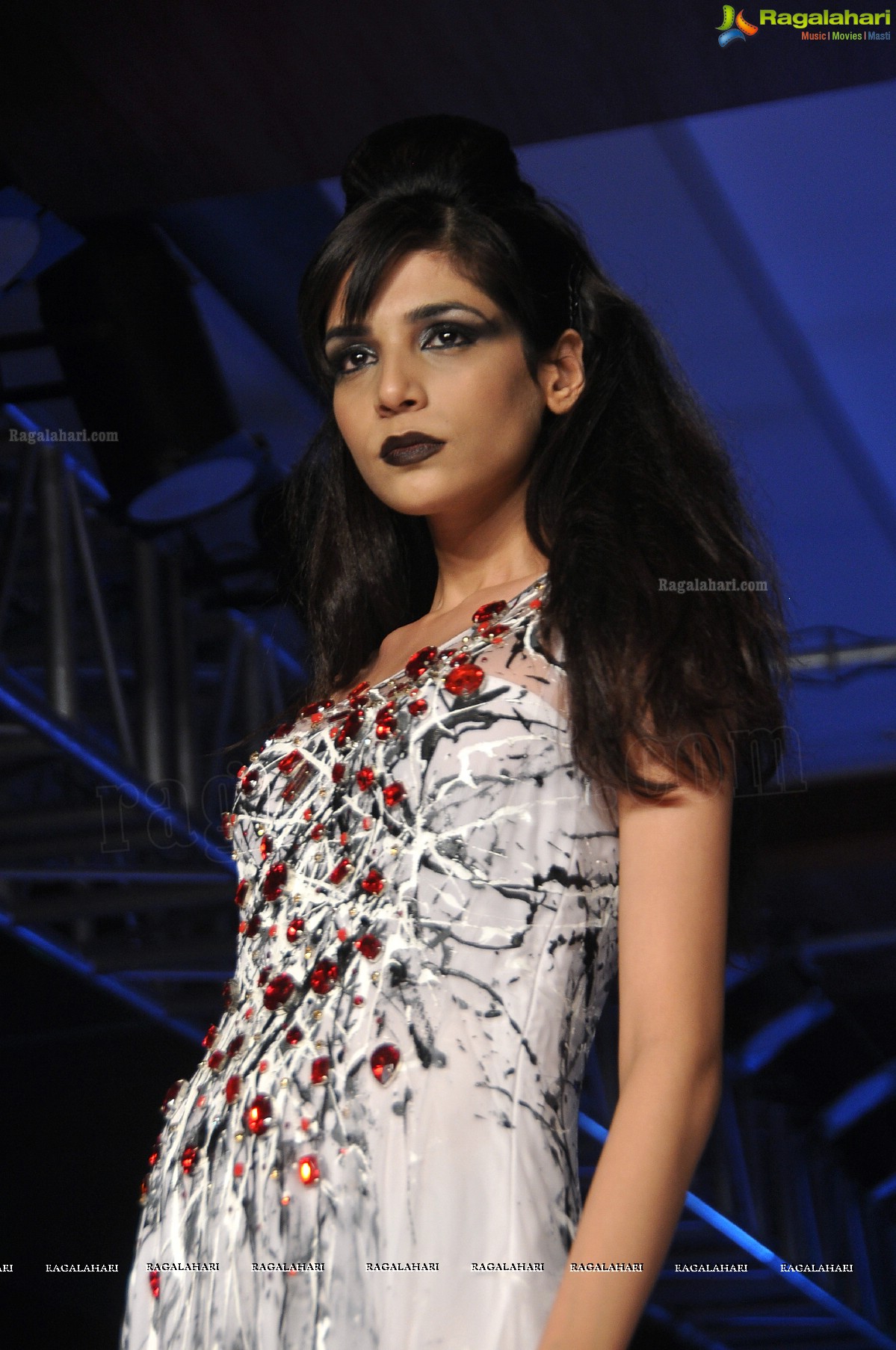 Blenders Pride Hyderabad International Fashion Week 2012 (Day 4)