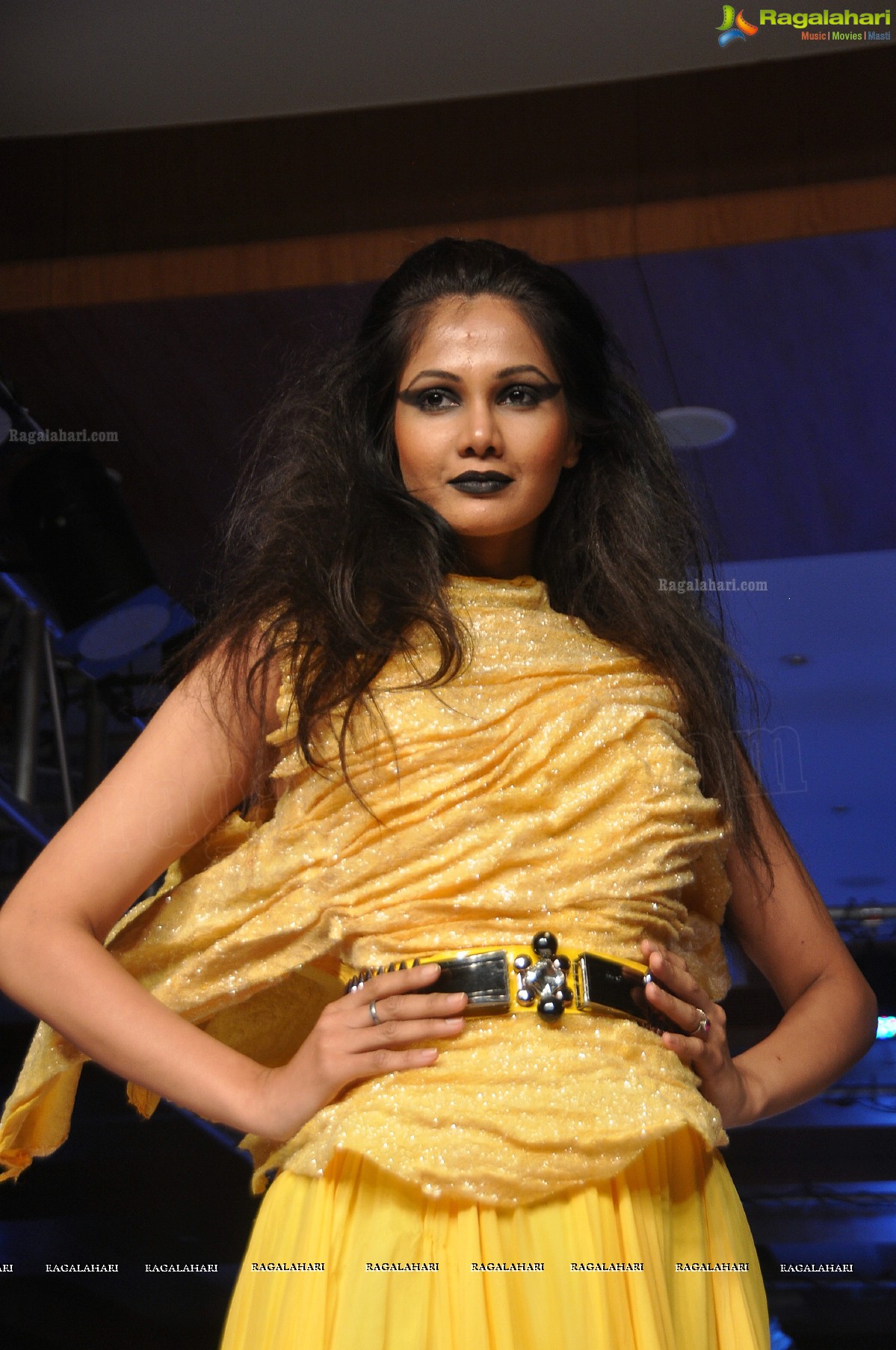 Blenders Pride Hyderabad International Fashion Week 2012 (Day 4)