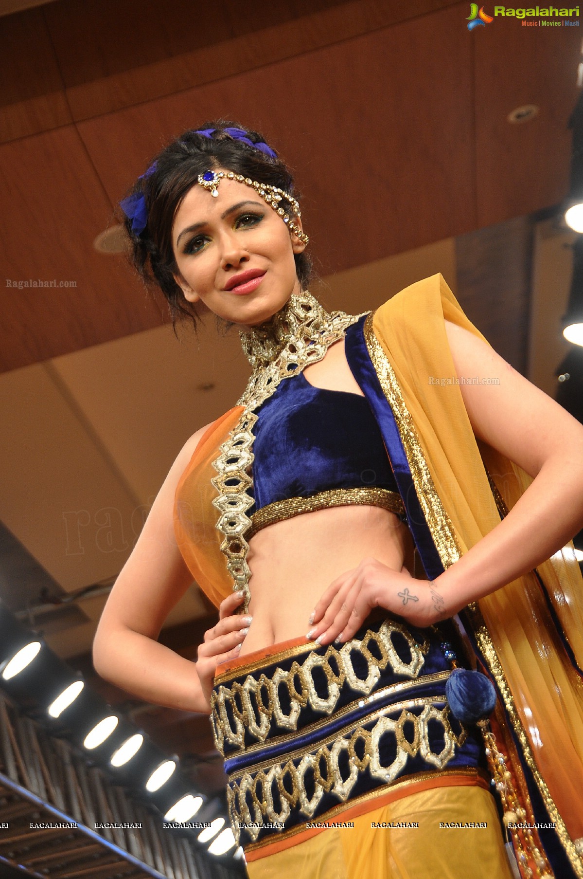 Blenders Pride Hyderabad International Fashion Week 2012 (Day 4)