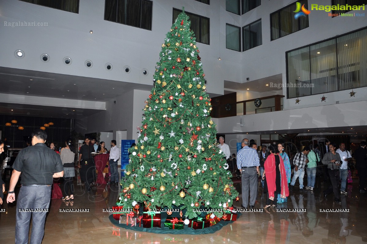Christmas Decorations 2012 at Radisson Blu Plaza, Hyderabad 