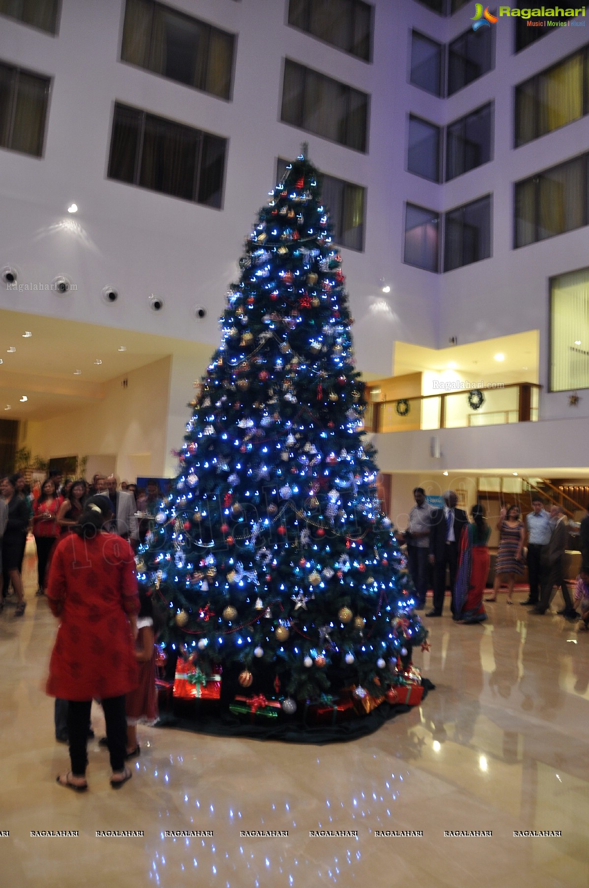 Christmas Decorations 2012 at Radisson Blu Plaza, Hyderabad 