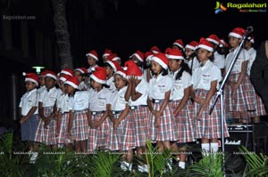 Christmas Decoration Novotel Hyderabad