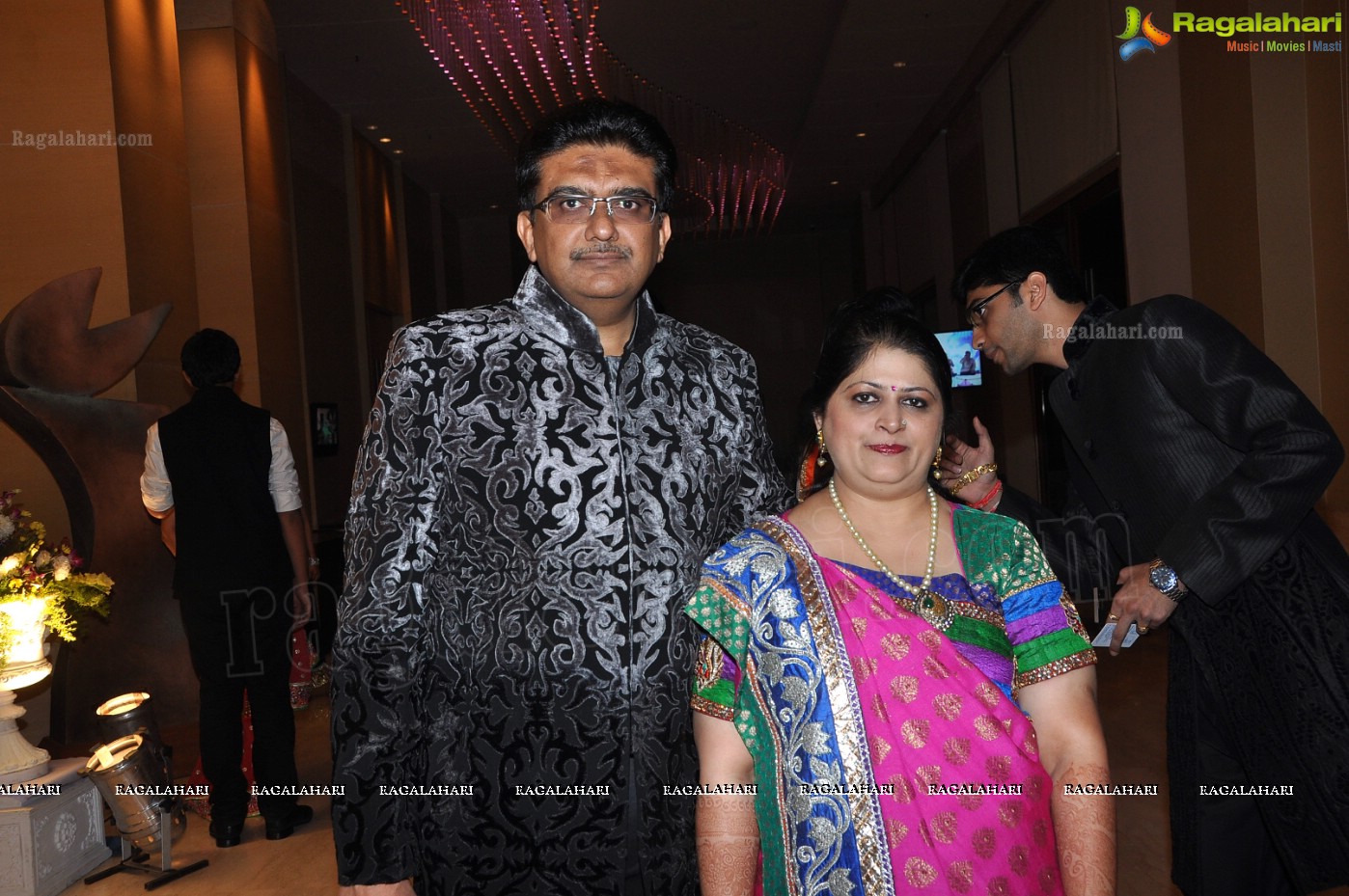 Hiral Doshi-Ronak S Gandhi's Engagement and Sangeet Party at Novotel, Hyderabad