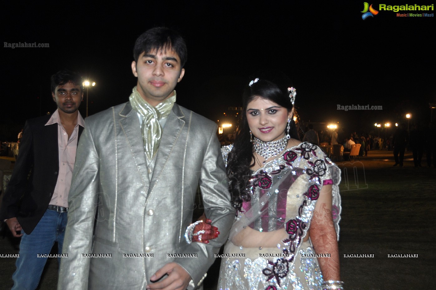 Hiral Doshi's Wedding Reception, Hyderabad