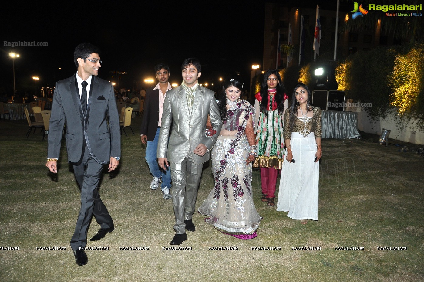 Hiral Doshi's Wedding Reception, Hyderabad