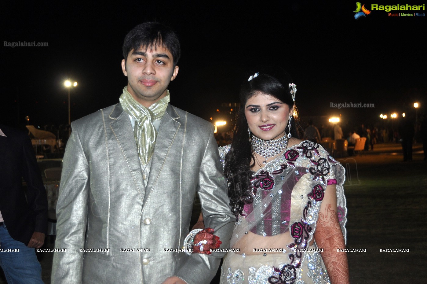 Hiral Doshi's Wedding Reception, Hyderabad