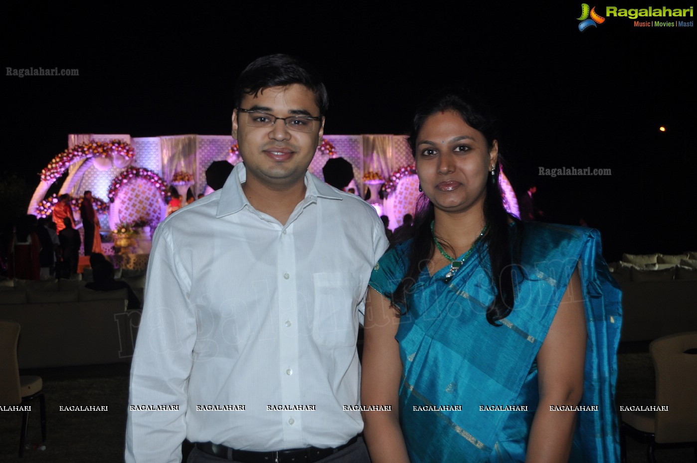 Hiral Doshi's Wedding Reception, Hyderabad