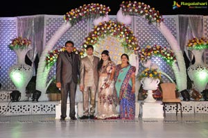 Hiral Doshi Wedding Reception