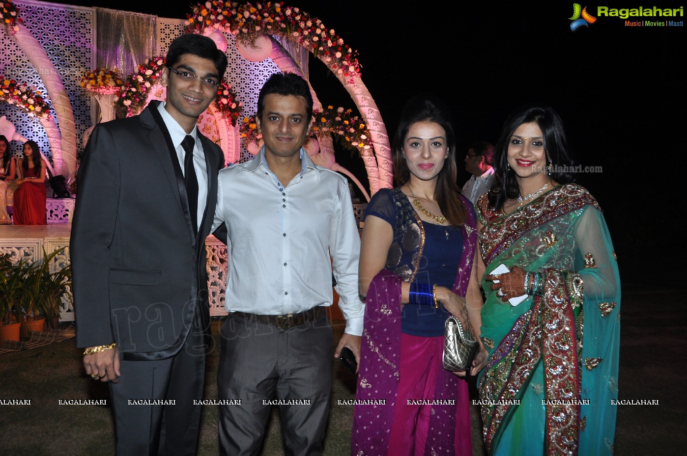 Hiral Doshi's Wedding Reception, Hyderabad