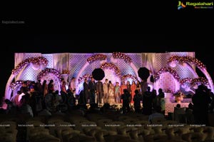 Hiral Doshi Wedding Reception