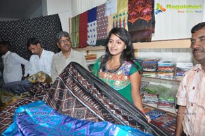 Pochampally IKAT Mela 2012 Hyderabad