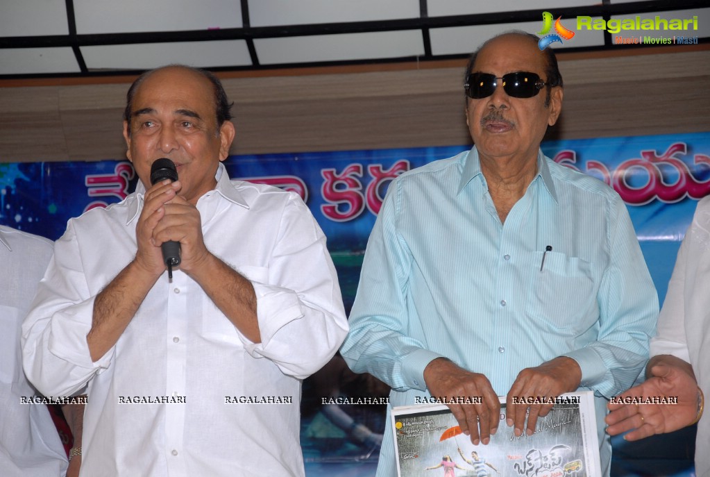 Nenu Na Karunamayudu Book Launch