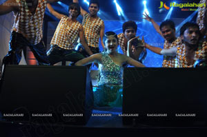 2013 Celebrations Hyderabad