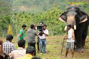 Gajaraju Working