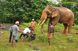 Gajaraju Working