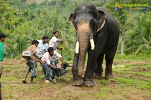 Gajaraju Working