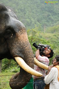 Gajaraju Working