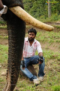 Gajaraju Working