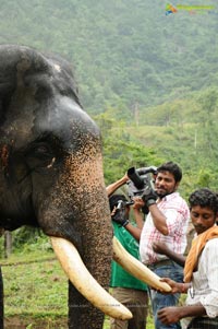 Gajaraju Working