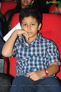 Nenokkadine Audio Release