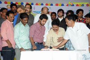 Hero Aadi Birthday Celebrations