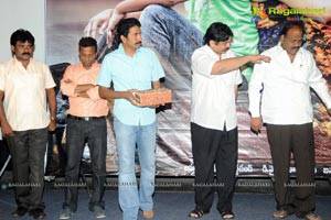 Cut Chesthe Audio Release