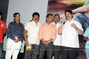 Cut Chesthe Audio Release