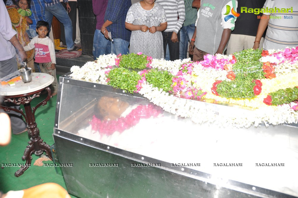 Tollywood pays tributes to Dharmavarapu Subramanyam