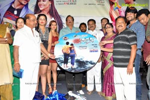 Naakaithe Nachindi Audio Release