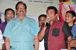 Naakaithe Nachindi Audio Release