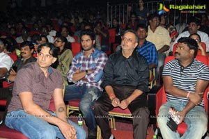 One Nenokkadine Audio Release