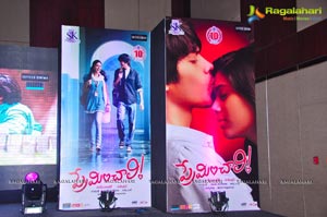 Preminchali Audio Release