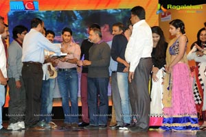 Uyyala Jampala Audio Release