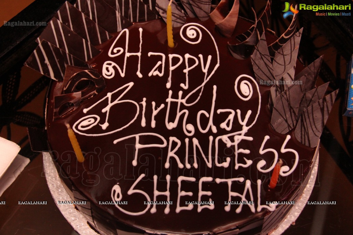 Sheetal Nahata's Birthday Bash 2013