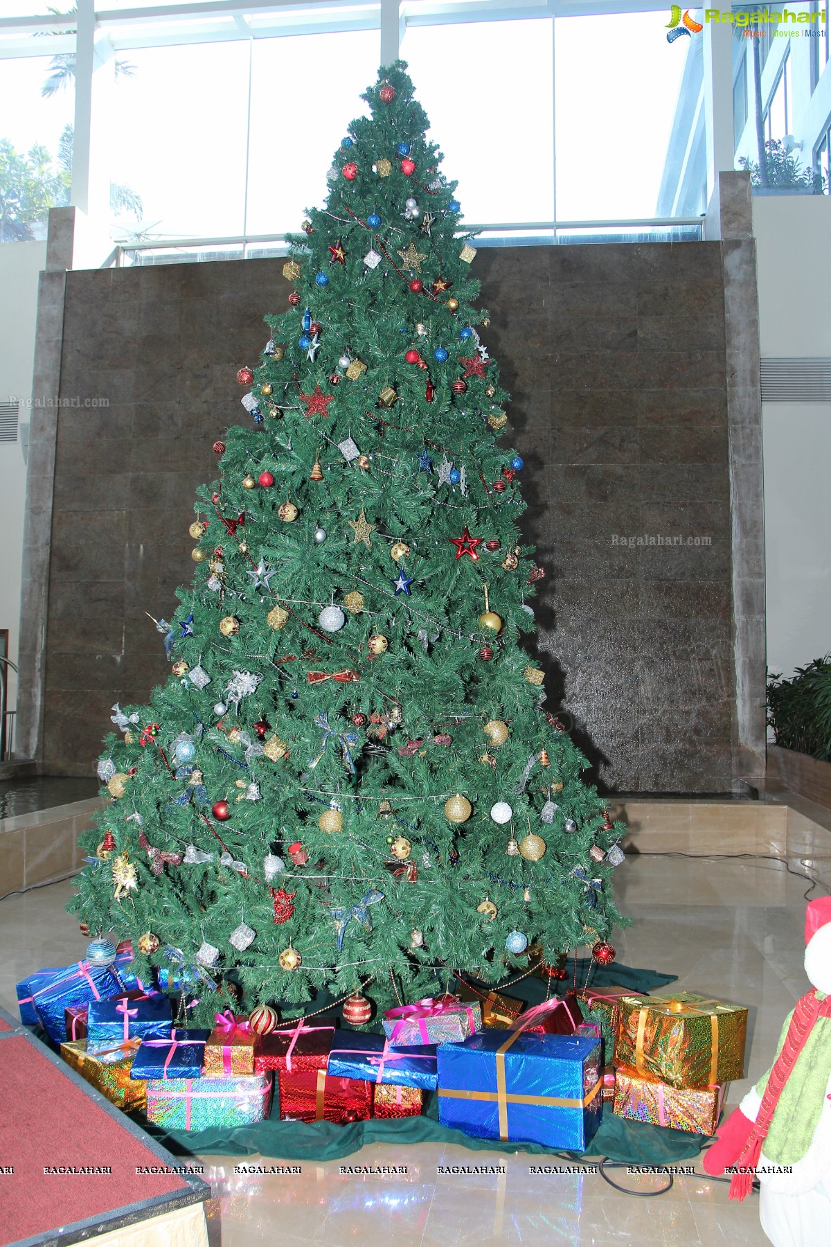 Christmas Carnival Brunch 2013 at Radisson Blu Plaza, Hyderabad