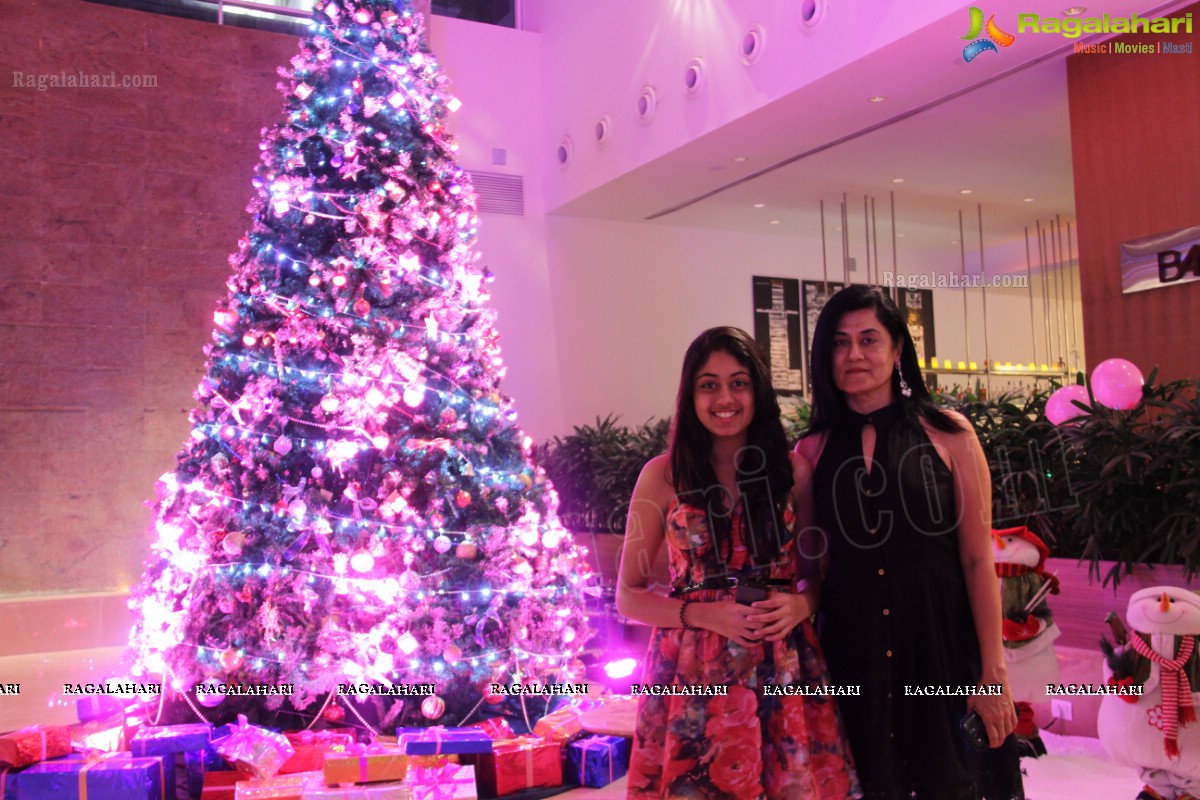 Christmas Tree Lighting Ceremony (2013) at Radisson Blu Plaza, Hyderabad