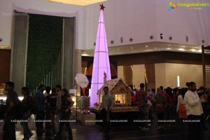 Christmas Tree Lighting India
