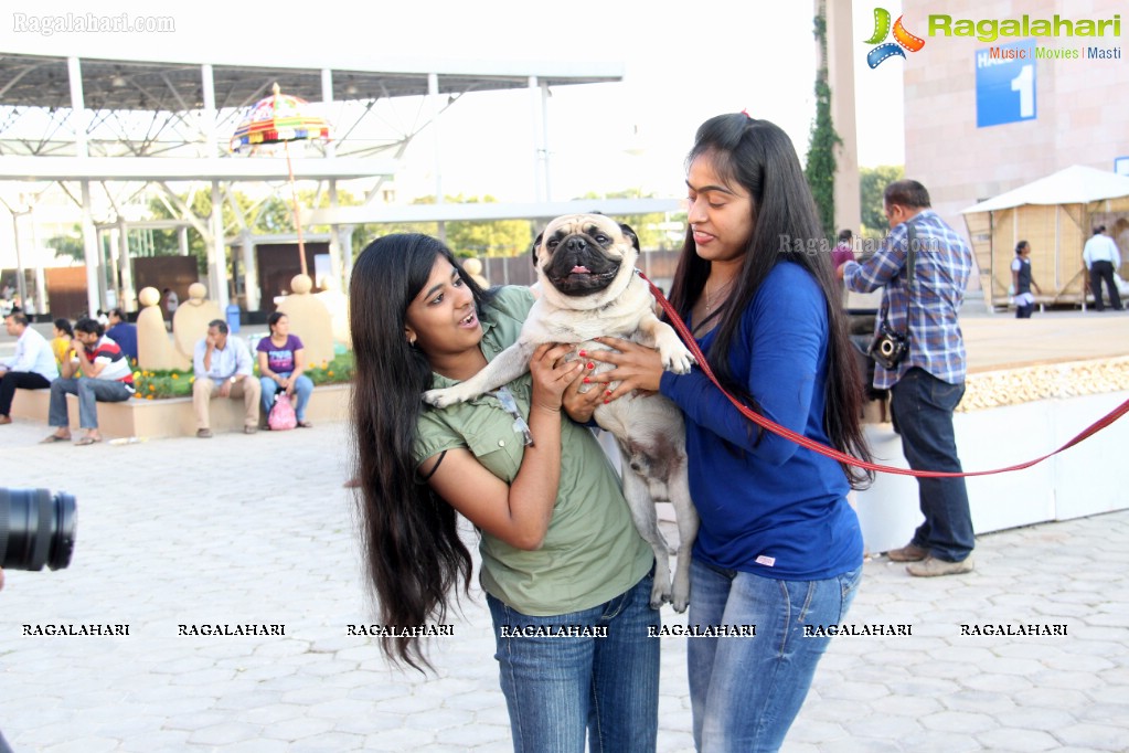 HyCan Dog Show 2013 at HITEX, Hyderabad